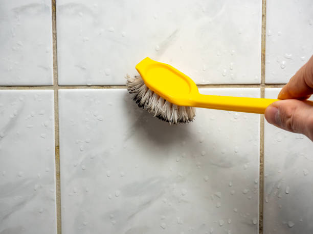 Best White Mold Remediation in Warren, IL